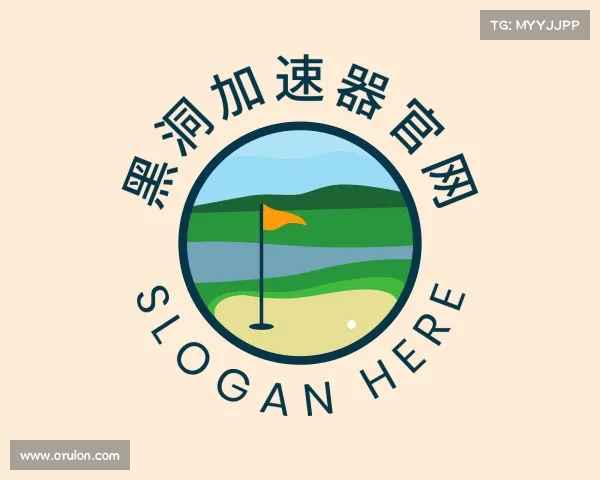 知道黑洞加速器官网